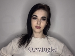 Orvafugler