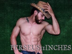 PERSEUS11INCHES