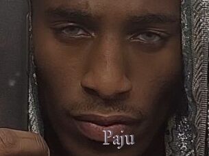 Paju