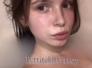 Pettitekitty1107