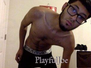 PlayfulJoe