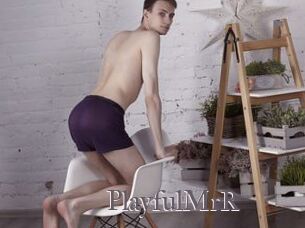 PlayfulMrR