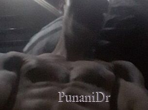 PunaniDr