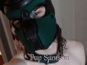 Pup_Samson