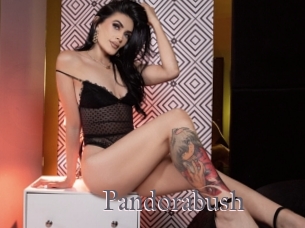Pandorabush