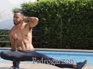 Pedrogarzon
