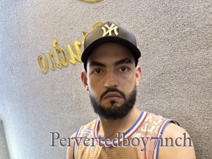 Pervertedboy7inch