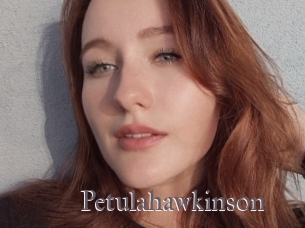 Petulahawkinson
