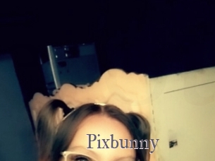 Pixbunny