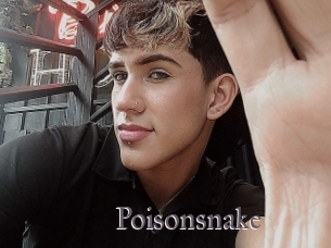 Poisonsnake