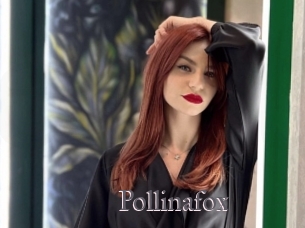 Pollinafox