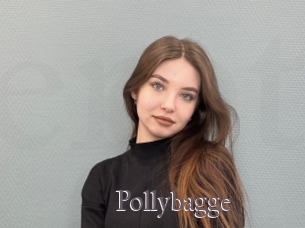 Pollybagge