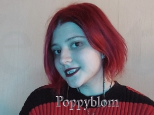 Poppyblom