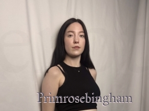 Primrosebingham