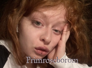 Primroseborom