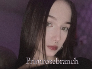 Primrosebranch