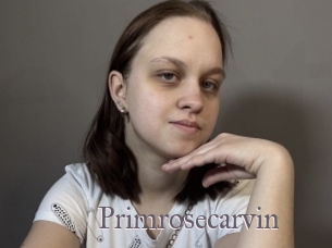 Primrosecarvin