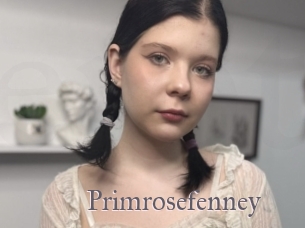 Primrosefenney
