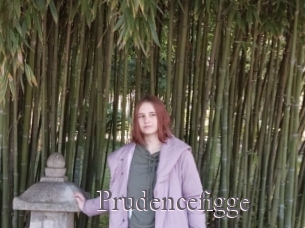 Prudencefigge