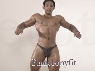 Pumebonyfit
