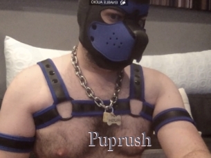 Puprush
