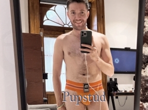 Pupstud