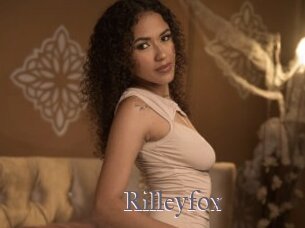 Rilleyfox