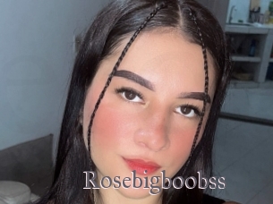 Rosebigboobss