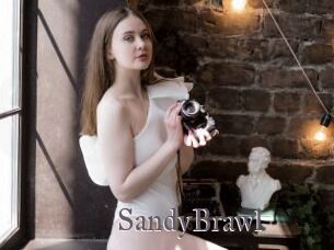 SandyBrawl