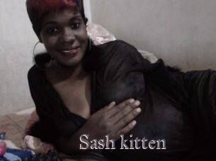 Sash_kitten