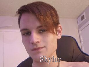 Skylur