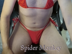 Spider_Monkey
