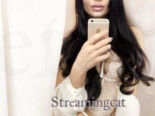 Streamingcat
