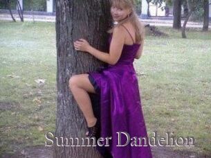 Summer_Dandelion