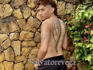 Salvatorevega