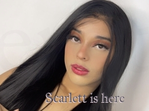 Scarlett_is_here