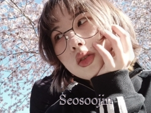Seosoojin