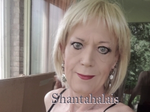 Shantahalais