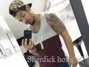 Sherdick_holes