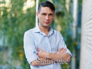 Sid_incube