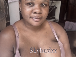 Skybirdxx
