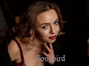 songbird Erotik Cams