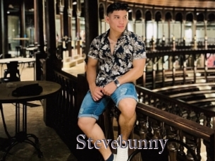Stevebunny
