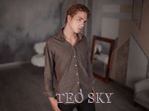 TEO_SKY