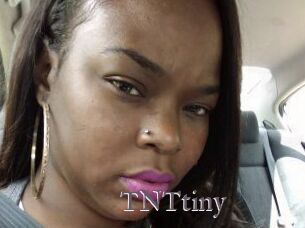 T_N_Ttiny