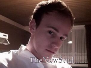 TheNewStud