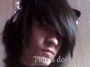 This_is_dog