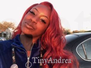 TinyAndrea