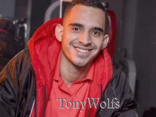 TonyWolfs