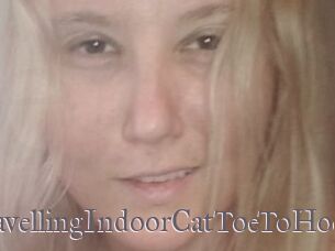 TravellingIndoorCatToeToHoe